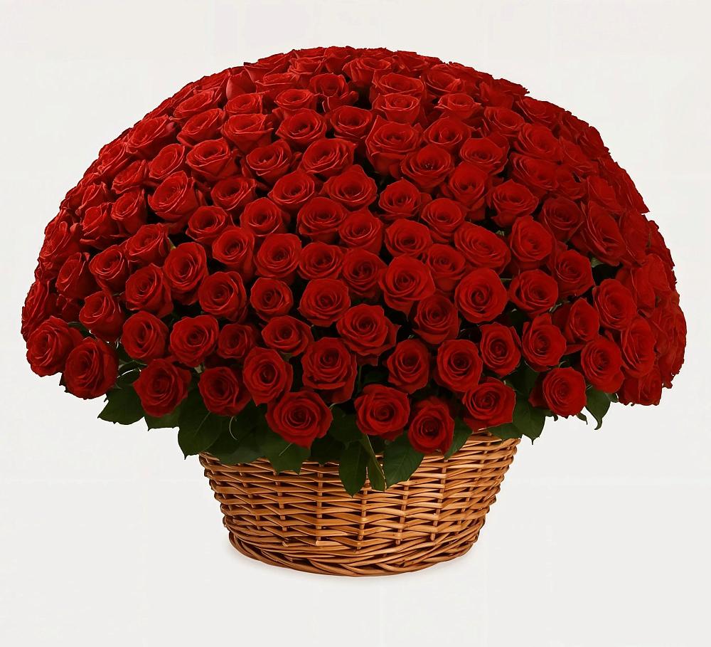 Премиум букет из: Розы в Емельяновке