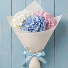 Букет цветов из:  Гортензия в Емельяновке