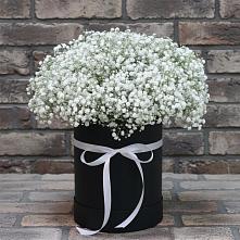 Цветочная композиция из Гипсофила в шляпной коробке в Емельяновке