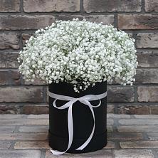 Цветочная композиция из Гипсофила в шляпной коробке в Емельяновке