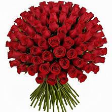 Букет Красные розы Чери Лав в Емельяновке
